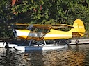 C-FNYL_02