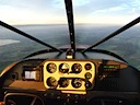Evening light