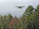N1178H_04
