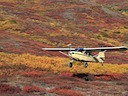 N1187H_07