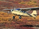 N1187H_08