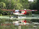 N1356H_21