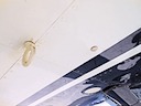 N1410H_15